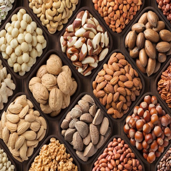 Buy Macadamia Nuts Wholesale